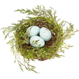 Robin Egg Nest
