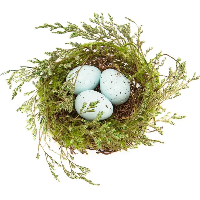 Robin Egg Nest