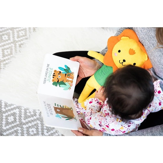 Lion Stuffed Toy & Book Set