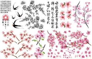 Transfer - Cherry Blossom