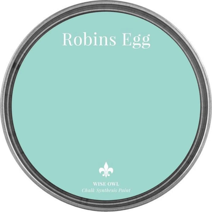 Chalk Synthesis Paint - Robins Egg