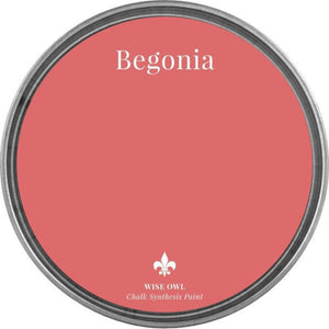Chalk Synthesis Paint - Begonia